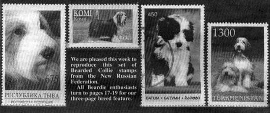 Our Dogs feature on Beardie Stamps