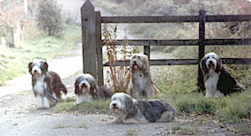 Welcome Photo