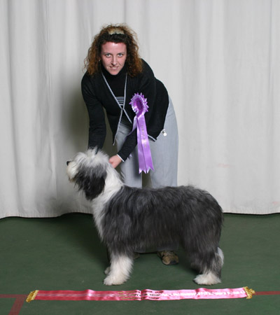 best_puppy