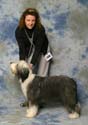 minor+puppy_bitch