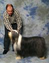 special_vintage_dog